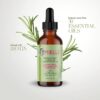 mielle rosemary and peppermint oil to strengthen scalp